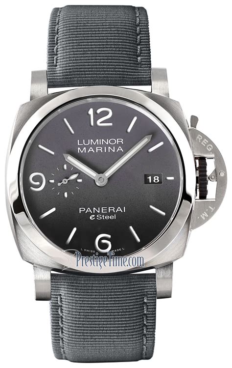 pam01538